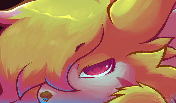 COMMISSION